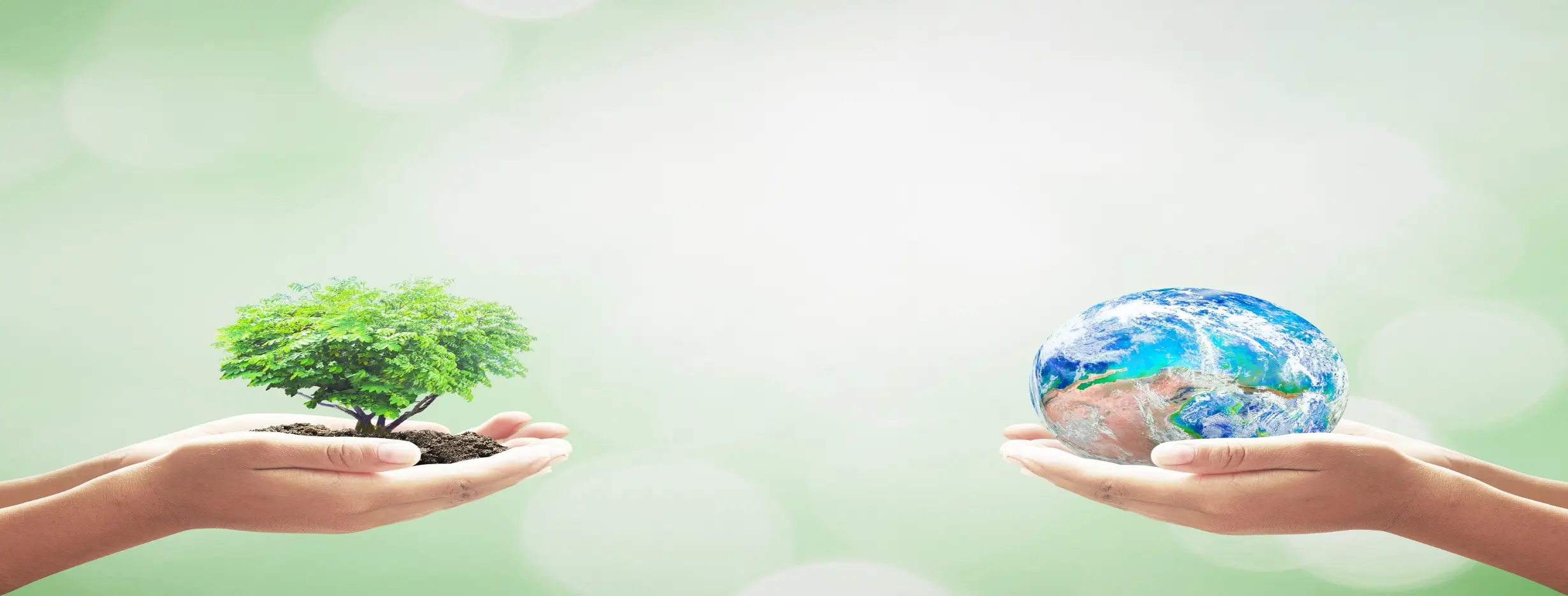 Image for Environmental Initiatives